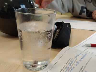 d68f7342-682d-4454-b4a6-fb081ffea05a