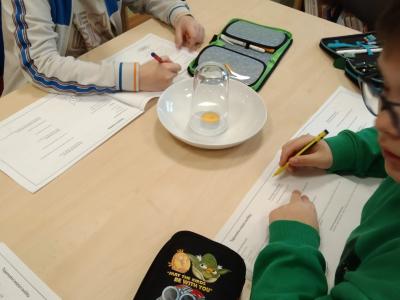 f4b4e7f0-db72-40df-8f2b-8ee116793ac5