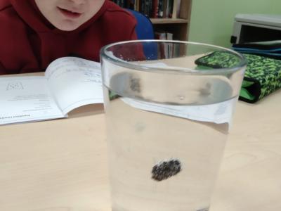 758a2ef7-a094-45f9-b29c-a1b30ec03e51