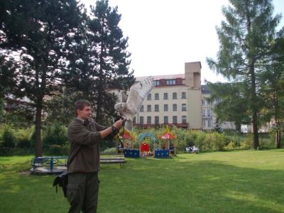 image 002